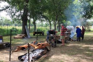 11 - 12 moutons attendaient les participants…